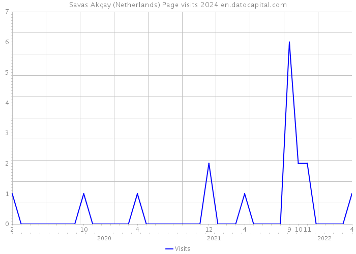 Savas Akçay (Netherlands) Page visits 2024 