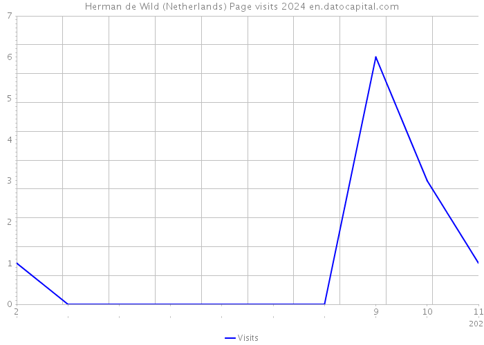 Herman de Wild (Netherlands) Page visits 2024 