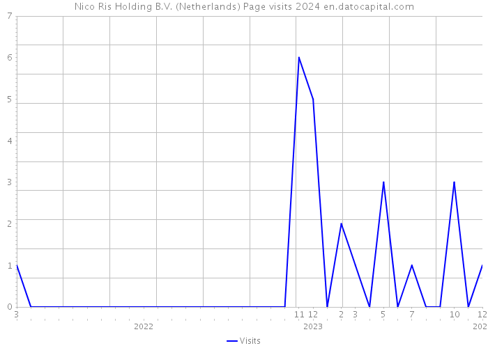 Nico Ris Holding B.V. (Netherlands) Page visits 2024 