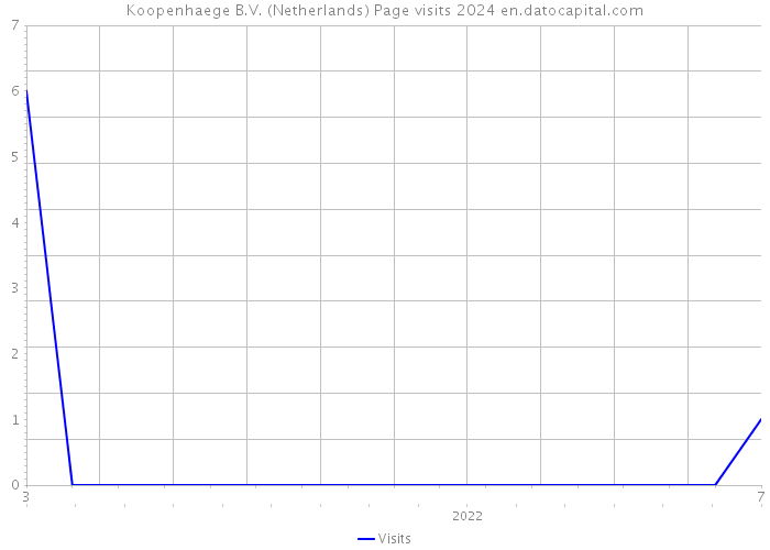Koopenhaege B.V. (Netherlands) Page visits 2024 