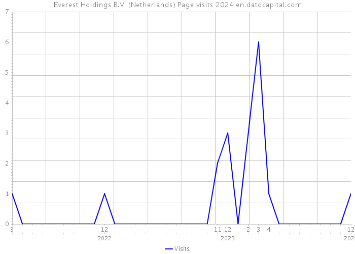 Everest Holdings B.V. (Netherlands) Page visits 2024 