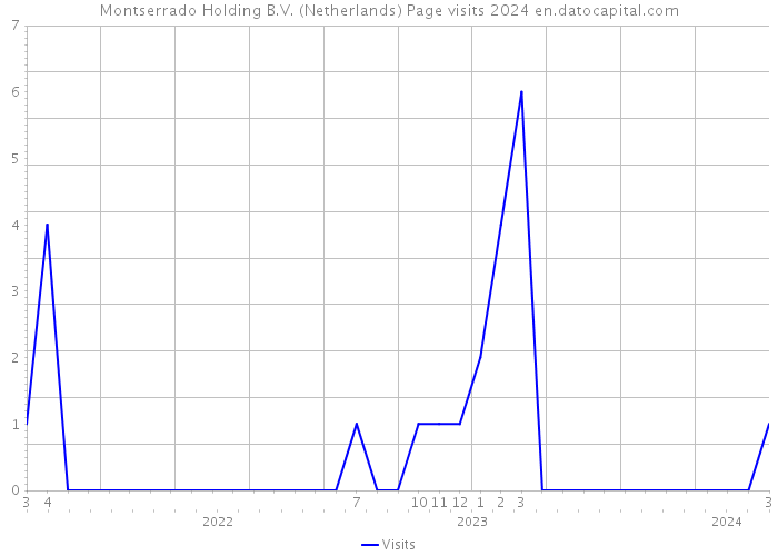 Montserrado Holding B.V. (Netherlands) Page visits 2024 