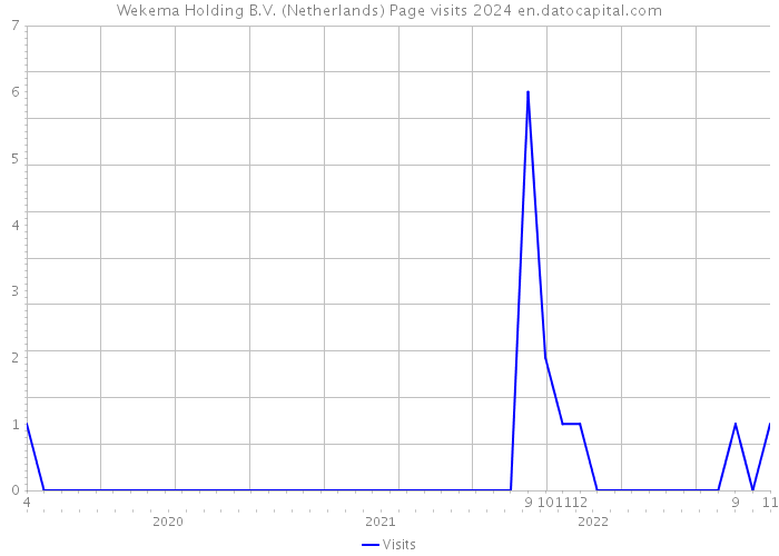 Wekema Holding B.V. (Netherlands) Page visits 2024 