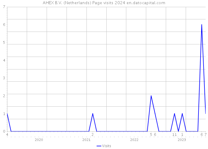 AHEX B.V. (Netherlands) Page visits 2024 