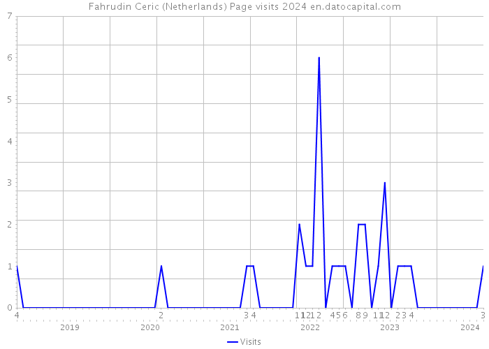 Fahrudin Ceric (Netherlands) Page visits 2024 