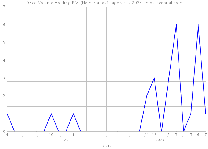 Disco Volante Holding B.V. (Netherlands) Page visits 2024 