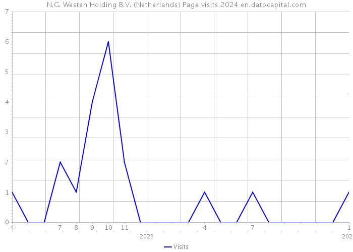 N.G. Westen Holding B.V. (Netherlands) Page visits 2024 