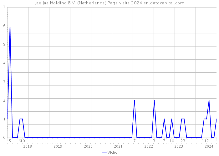 Jae Jae Holding B.V. (Netherlands) Page visits 2024 