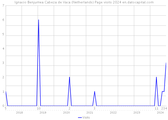 Ignacio Benjumea Cabeza de Vaca (Netherlands) Page visits 2024 