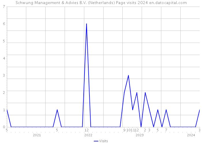 Schwung Management & Advies B.V. (Netherlands) Page visits 2024 