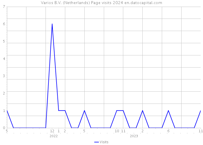 Varios B.V. (Netherlands) Page visits 2024 