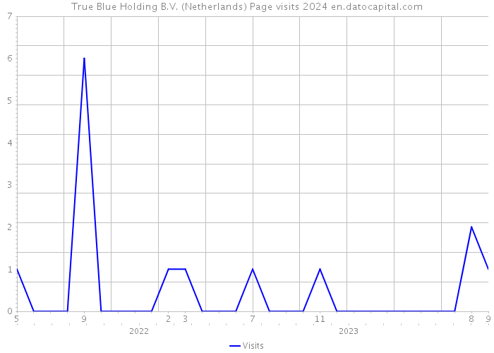 True Blue Holding B.V. (Netherlands) Page visits 2024 