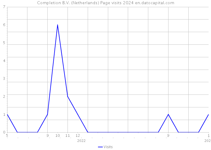 Completion B.V. (Netherlands) Page visits 2024 