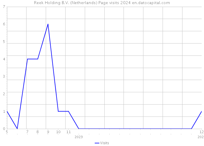 Reek Holding B.V. (Netherlands) Page visits 2024 