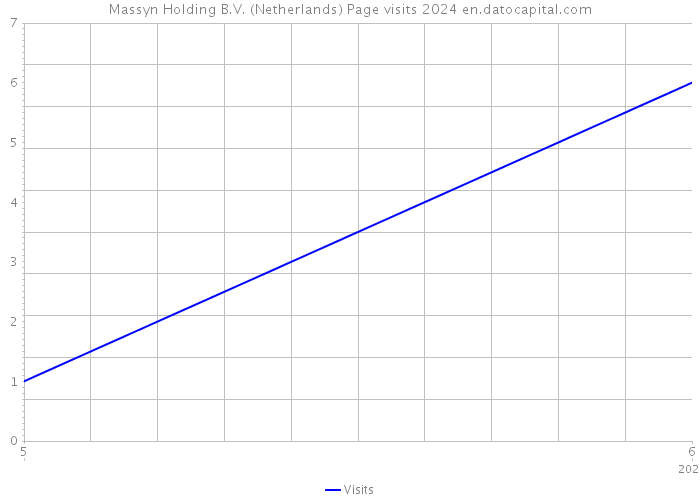 Massyn Holding B.V. (Netherlands) Page visits 2024 