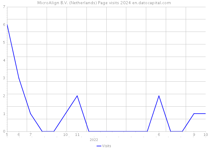 MicroAlign B.V. (Netherlands) Page visits 2024 