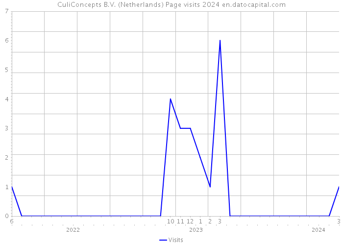 CuliConcepts B.V. (Netherlands) Page visits 2024 
