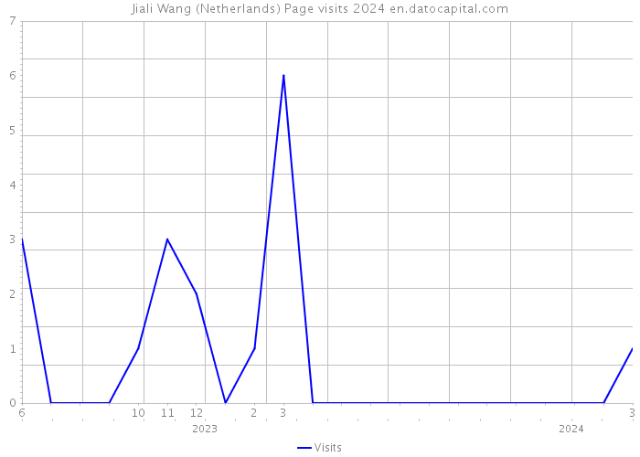 Jiali Wang (Netherlands) Page visits 2024 