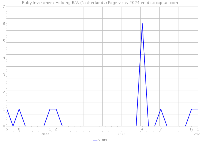 Ruby Investment Holding B.V. (Netherlands) Page visits 2024 