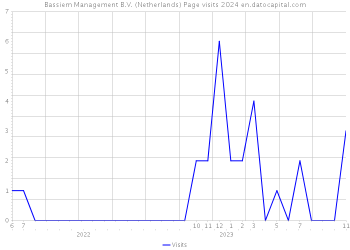 Bassiem Management B.V. (Netherlands) Page visits 2024 