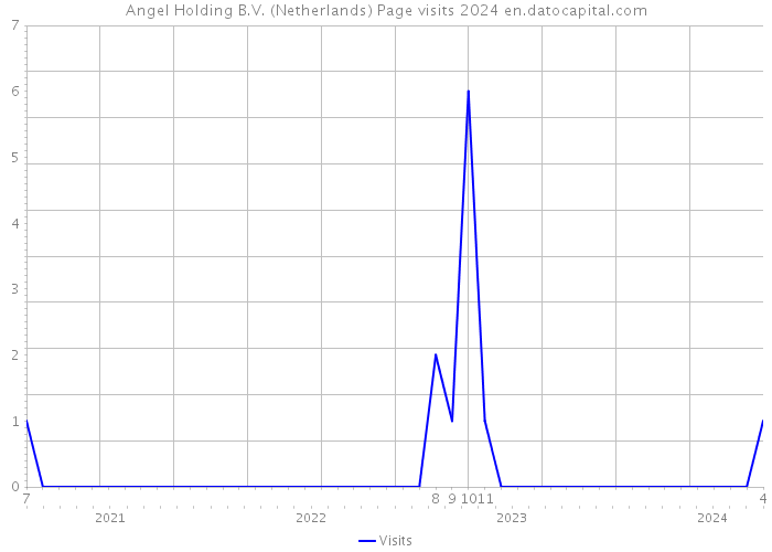 Angel Holding B.V. (Netherlands) Page visits 2024 