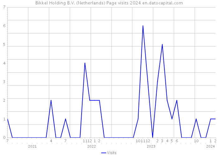 Bikkel Holding B.V. (Netherlands) Page visits 2024 