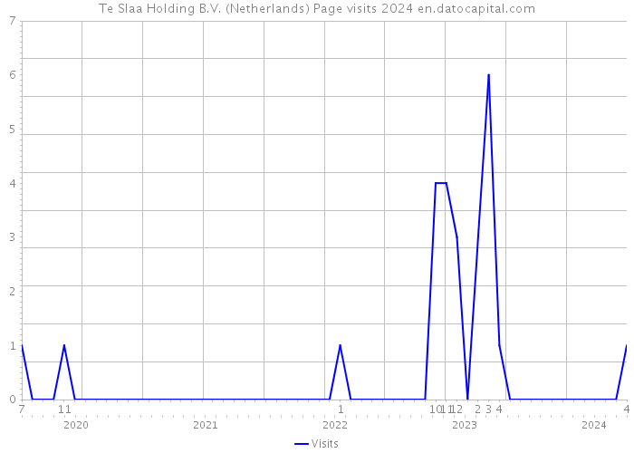 Te Slaa Holding B.V. (Netherlands) Page visits 2024 