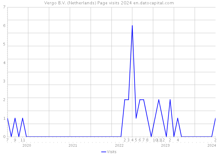 Vergo B.V. (Netherlands) Page visits 2024 