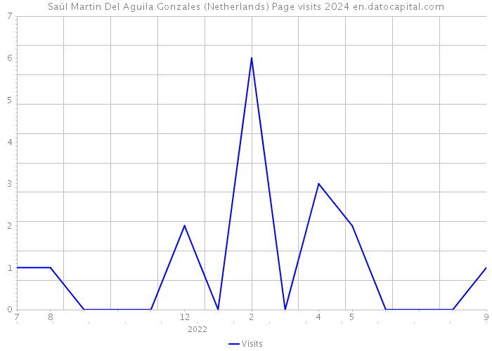 Saúl Martin Del Aguila Gonzales (Netherlands) Page visits 2024 