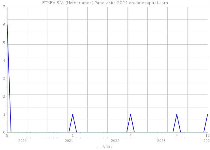 ETXEA B.V. (Netherlands) Page visits 2024 