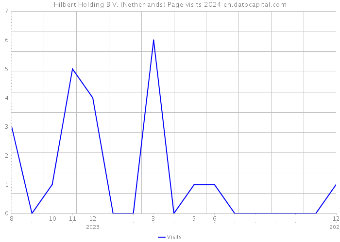Hilbert Holding B.V. (Netherlands) Page visits 2024 