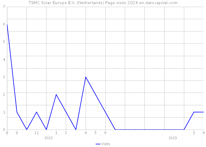 TSMC Solar Europe B.V. (Netherlands) Page visits 2024 