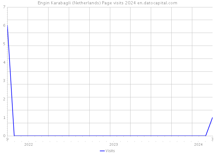 Engin Karabagli (Netherlands) Page visits 2024 