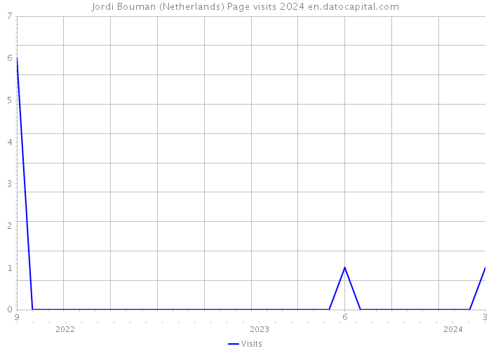 Jordi Bouman (Netherlands) Page visits 2024 
