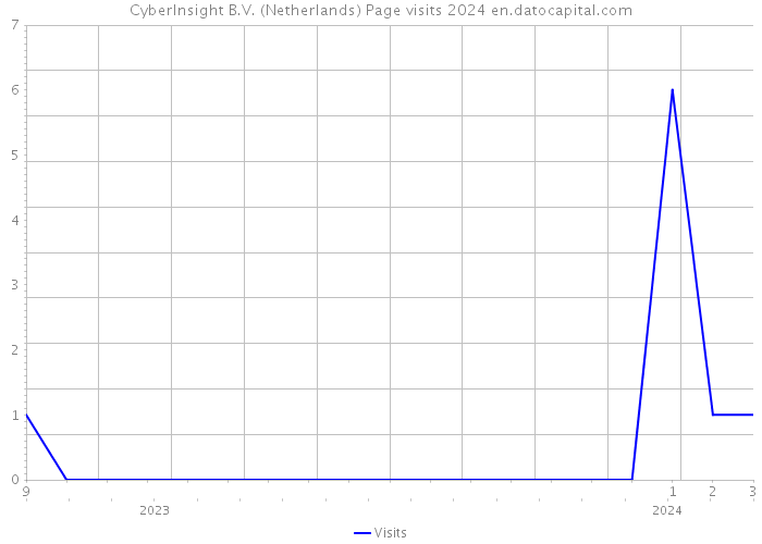 CyberInsight B.V. (Netherlands) Page visits 2024 