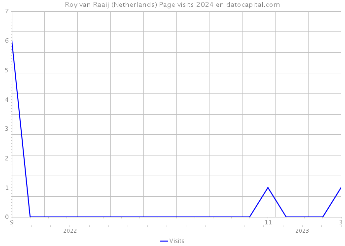 Roy van Raaij (Netherlands) Page visits 2024 