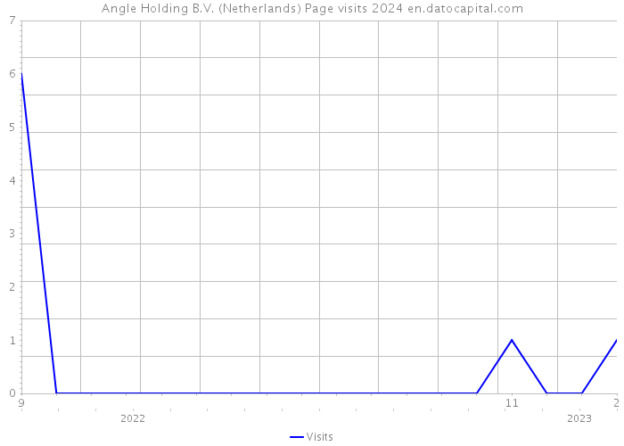 Angle Holding B.V. (Netherlands) Page visits 2024 
