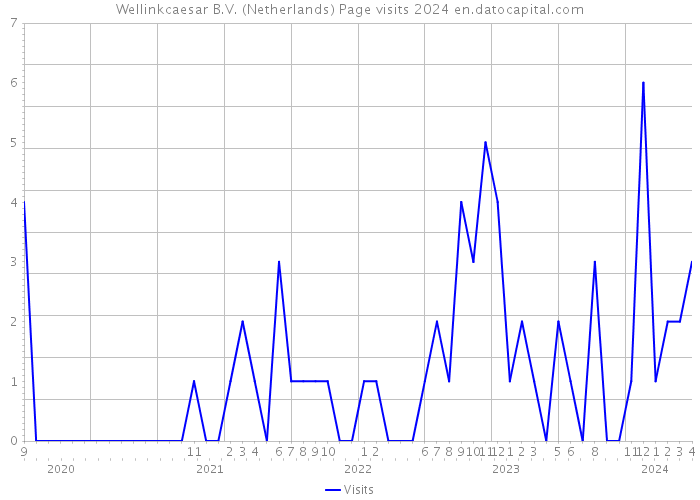 Wellinkcaesar B.V. (Netherlands) Page visits 2024 