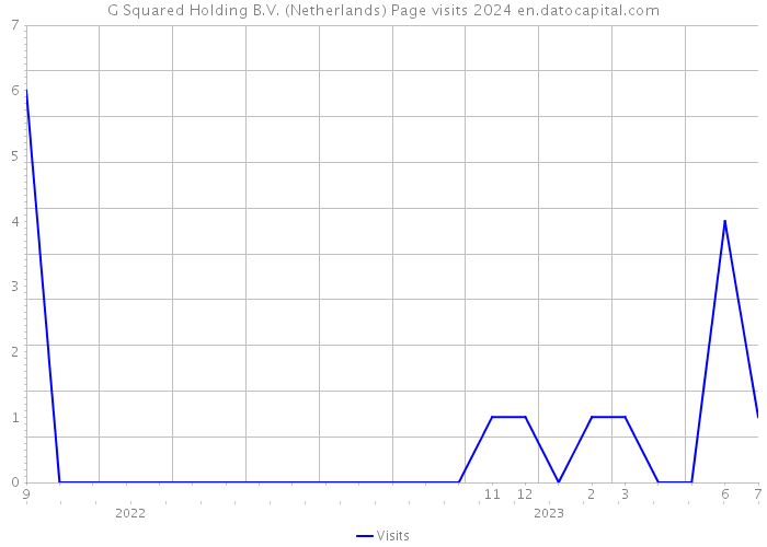 G Squared Holding B.V. (Netherlands) Page visits 2024 