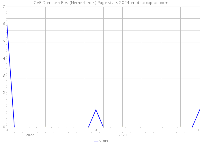 CVB Diensten B.V. (Netherlands) Page visits 2024 