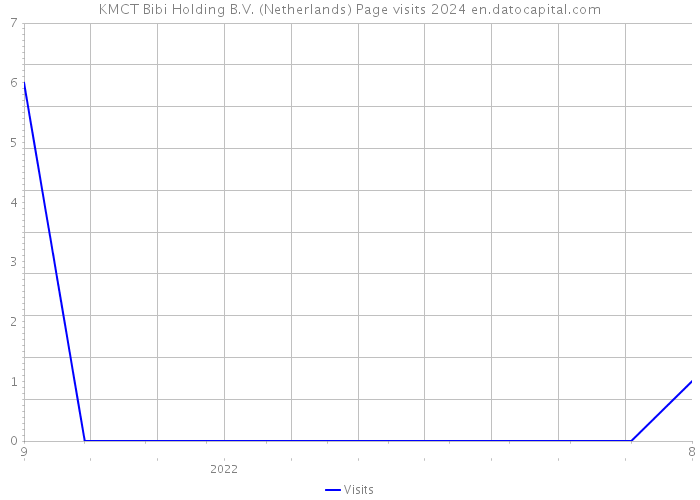 KMCT Bibi Holding B.V. (Netherlands) Page visits 2024 