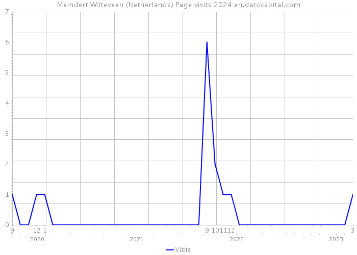 Meindert Witteveen (Netherlands) Page visits 2024 