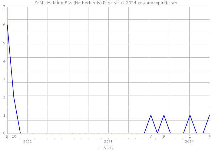 SaMo Holding B.V. (Netherlands) Page visits 2024 