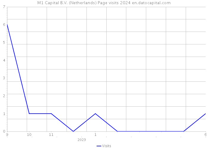 M1 Capital B.V. (Netherlands) Page visits 2024 