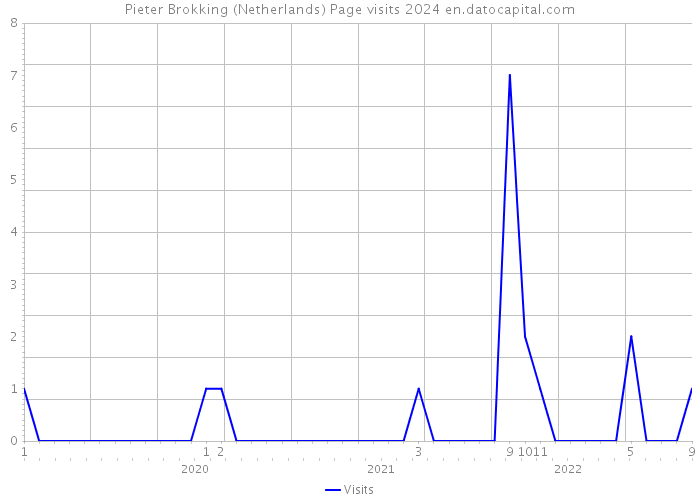 Pieter Brokking (Netherlands) Page visits 2024 