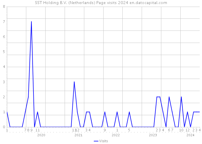 SST Holding B.V. (Netherlands) Page visits 2024 