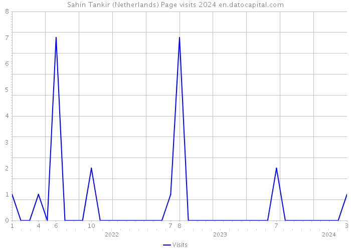 Sahin Tankir (Netherlands) Page visits 2024 