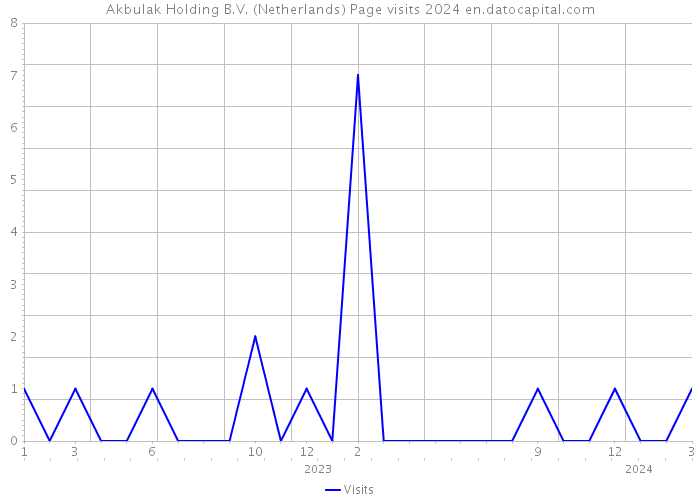 Akbulak Holding B.V. (Netherlands) Page visits 2024 