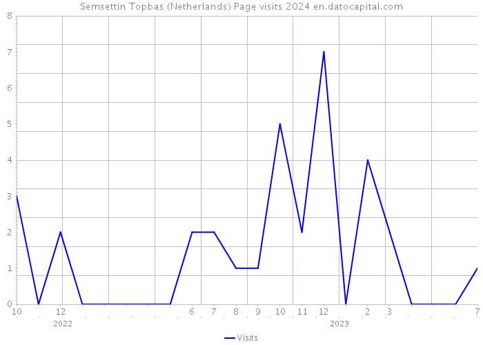 Semsettin Topbas (Netherlands) Page visits 2024 