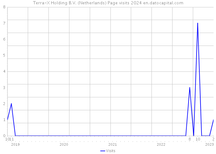 Terra-X Holding B.V. (Netherlands) Page visits 2024 